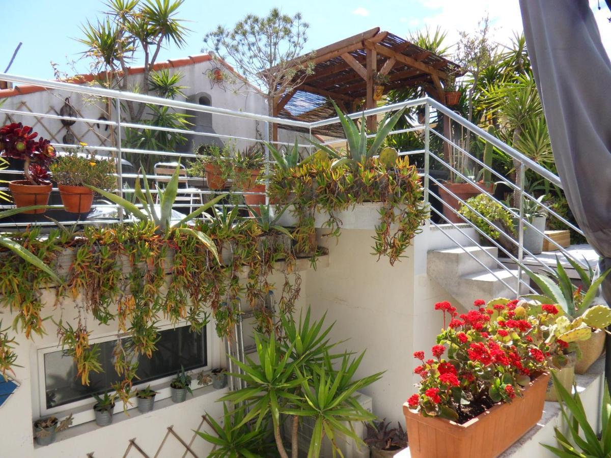 Belle Maison De 121 M2 A 2 Mn De La Avec Jacuzzi Sete